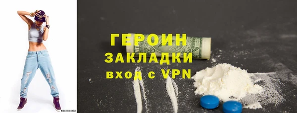прущие грибы Новозыбков