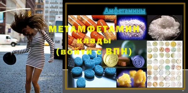 прущие грибы Новозыбков