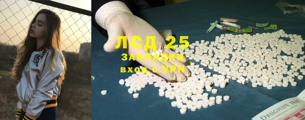 стаф Абинск