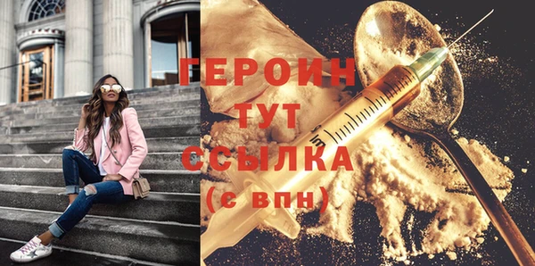 прущие грибы Новозыбков