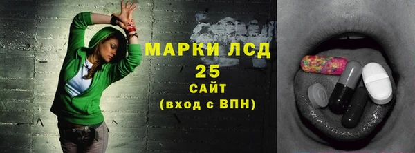 стаф Абинск