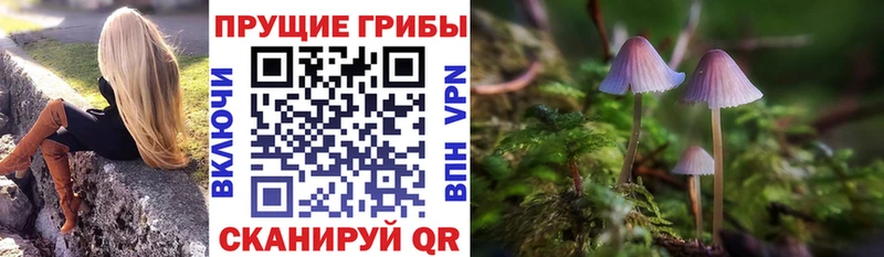 Псилоцибиновые грибы MAGIC MUSHROOMS  маркетплейс состав  Рыльск  kraken ССЫЛКА 